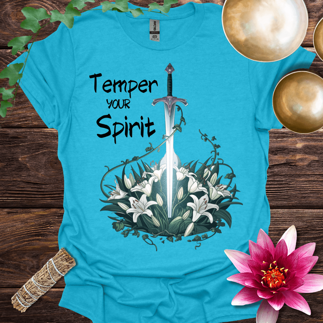 Temper Your Sprit variant 3